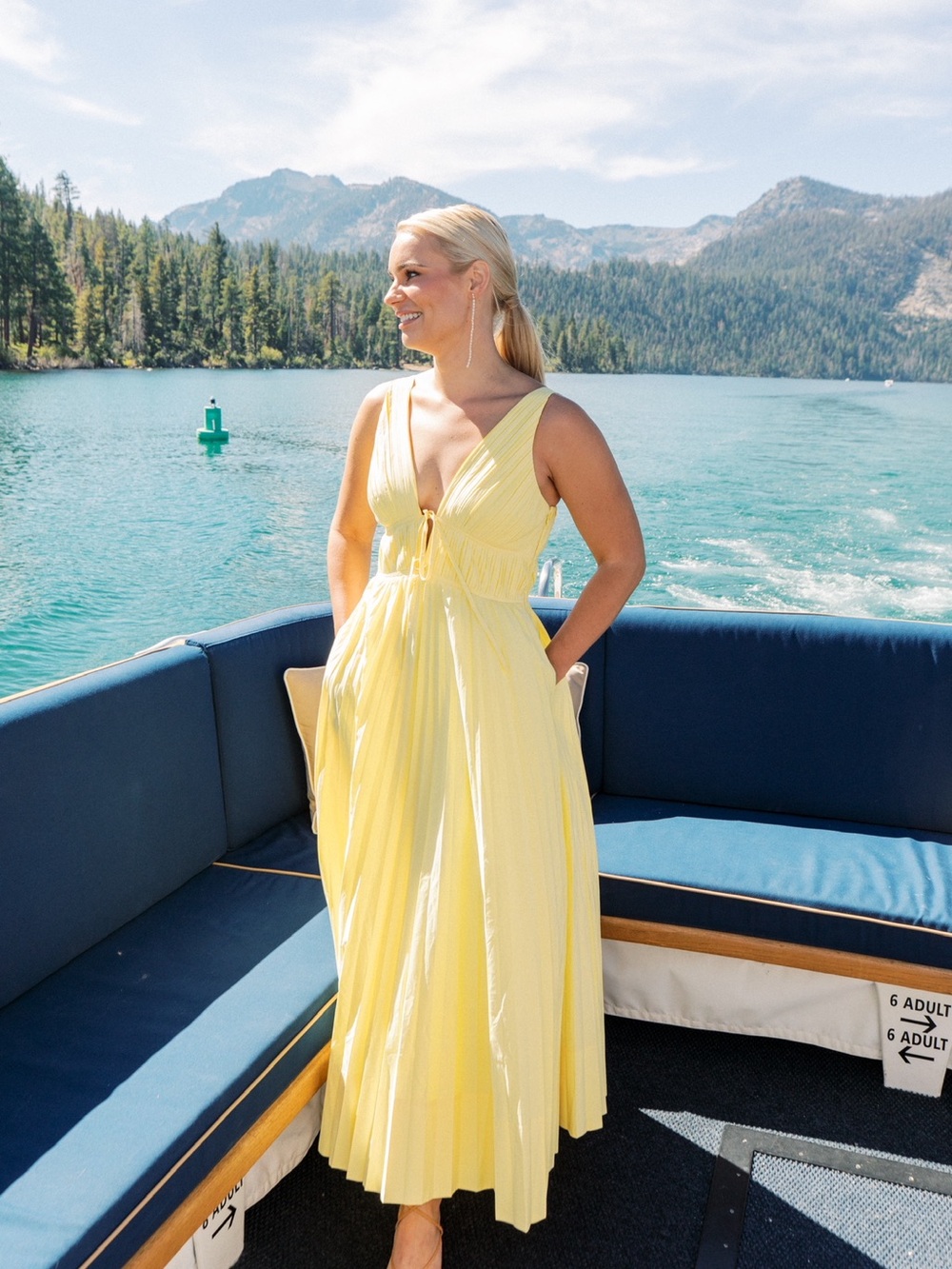Simkhai Stephanie Pleated Cotton-Blend Midi Dress - Picture 8 of 8